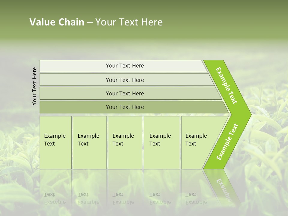 Travel Tropical Hill PowerPoint Template