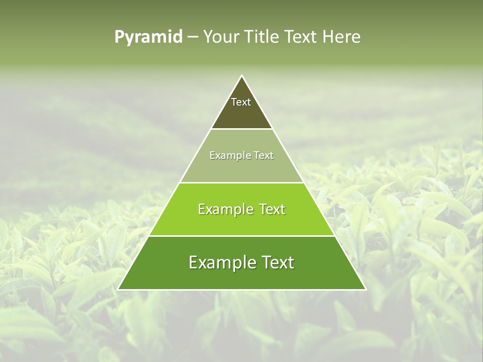 Travel Tropical Hill PowerPoint Template