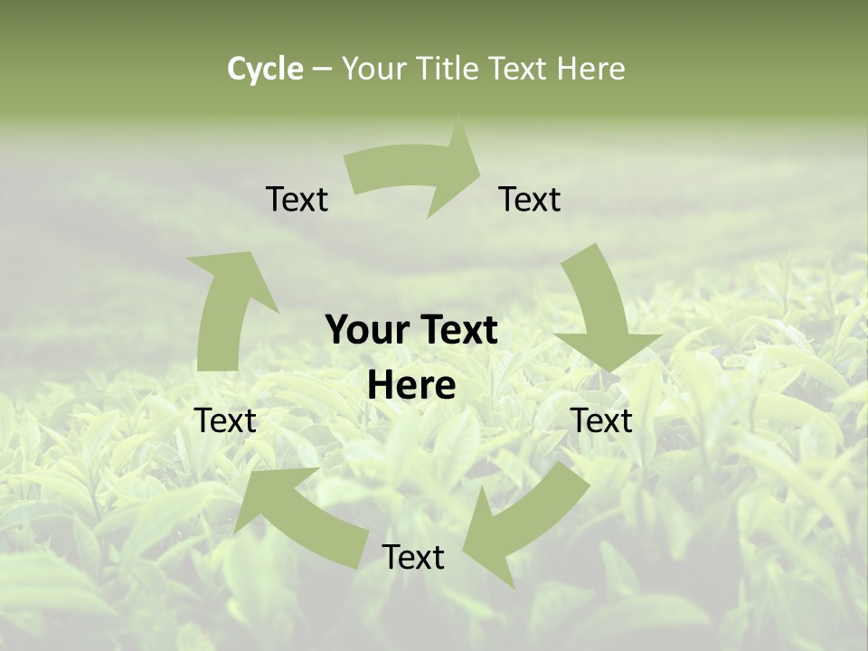 Travel Tropical Hill PowerPoint Template