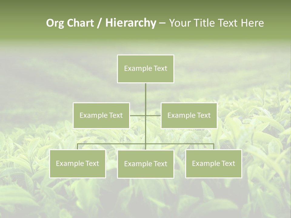 Travel Tropical Hill PowerPoint Template