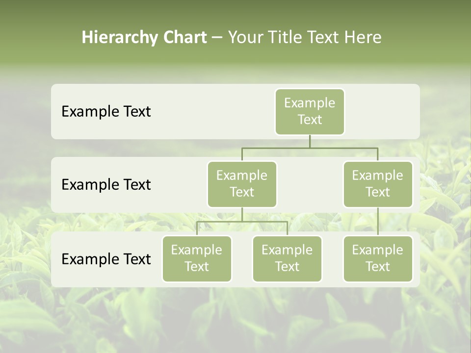 Travel Tropical Hill PowerPoint Template