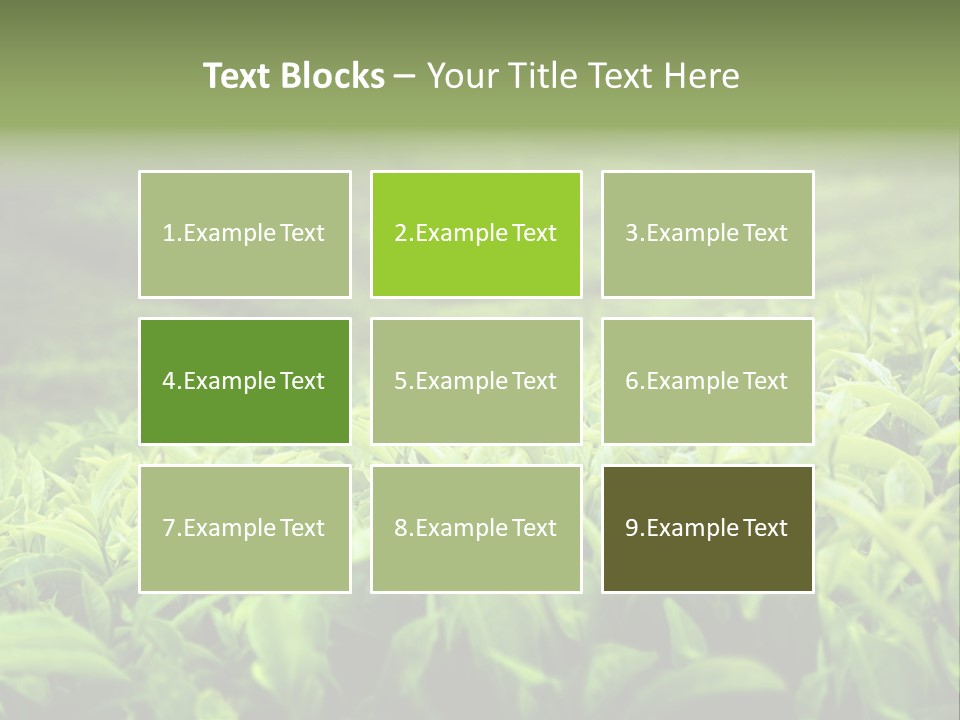 Travel Tropical Hill PowerPoint Template