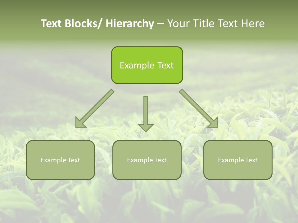 Travel Tropical Hill PowerPoint Template