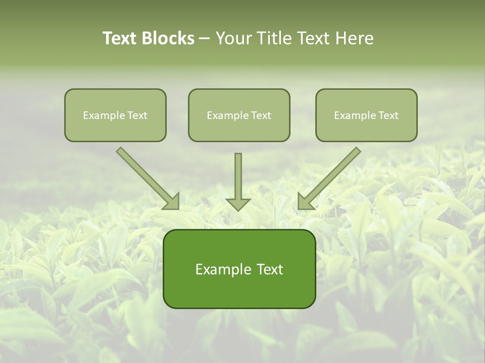 Travel Tropical Hill PowerPoint Template