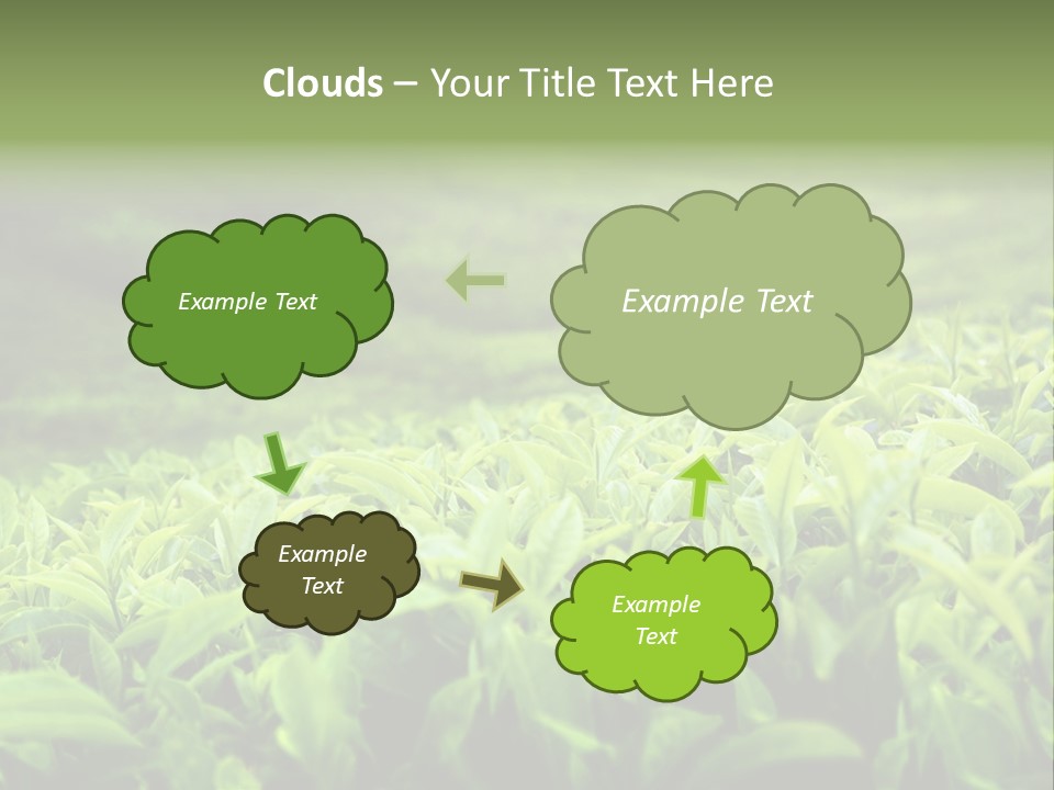 Travel Tropical Hill PowerPoint Template