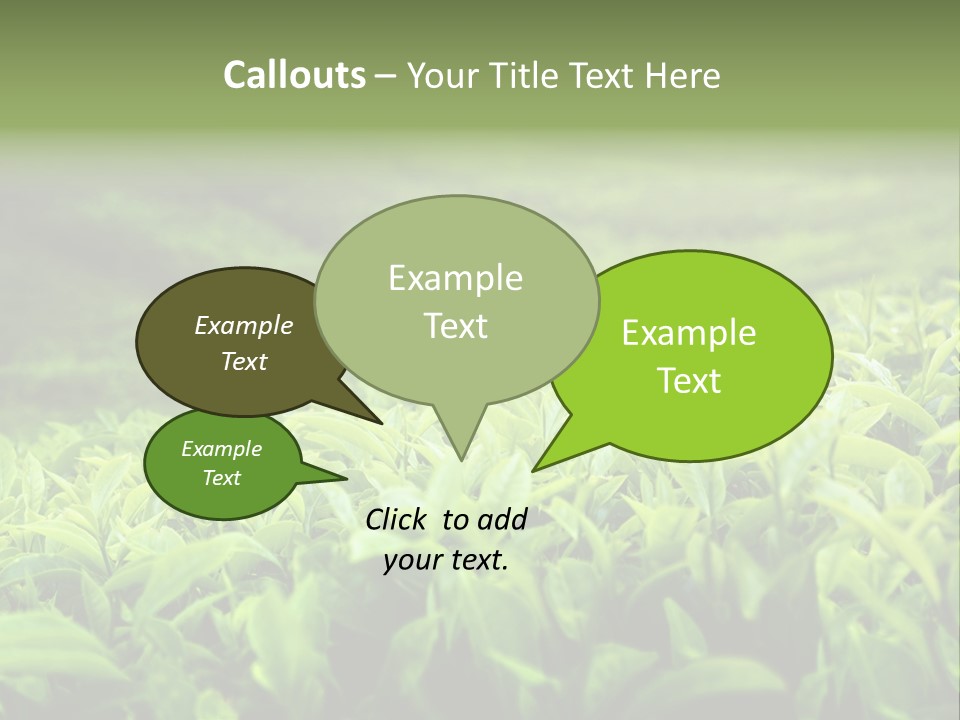 Travel Tropical Hill PowerPoint Template