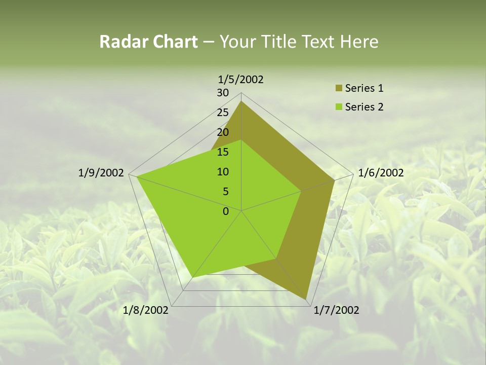 Travel Tropical Hill PowerPoint Template