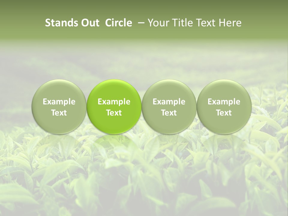 Travel Tropical Hill PowerPoint Template