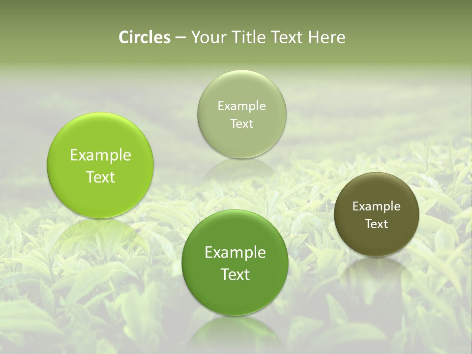 Travel Tropical Hill PowerPoint Template