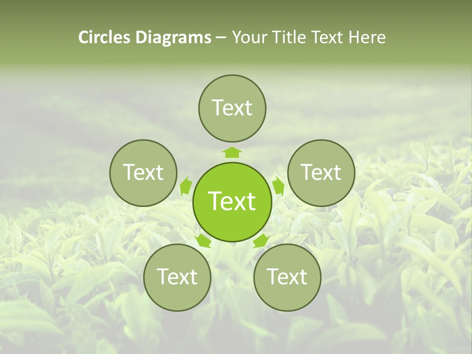 Travel Tropical Hill PowerPoint Template