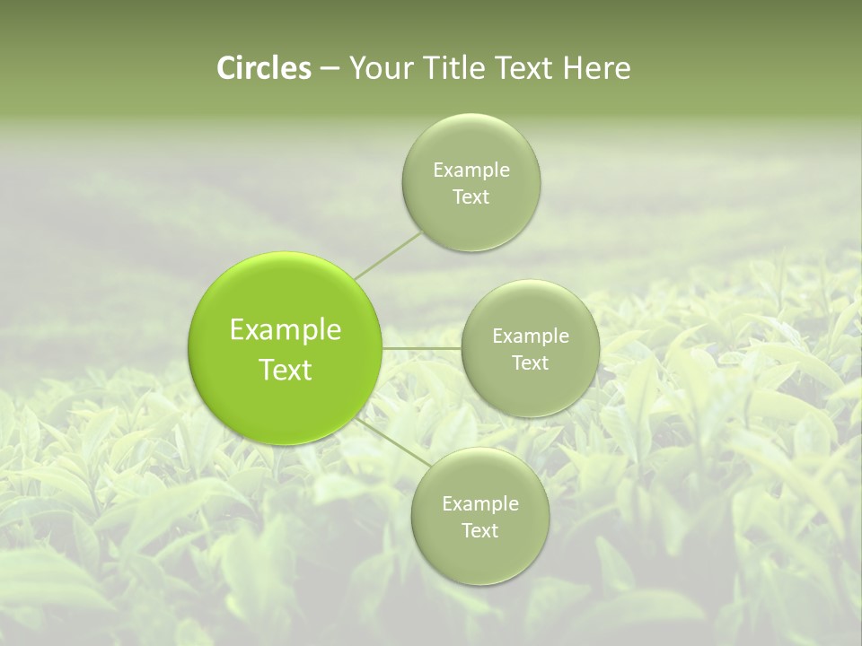 Travel Tropical Hill PowerPoint Template