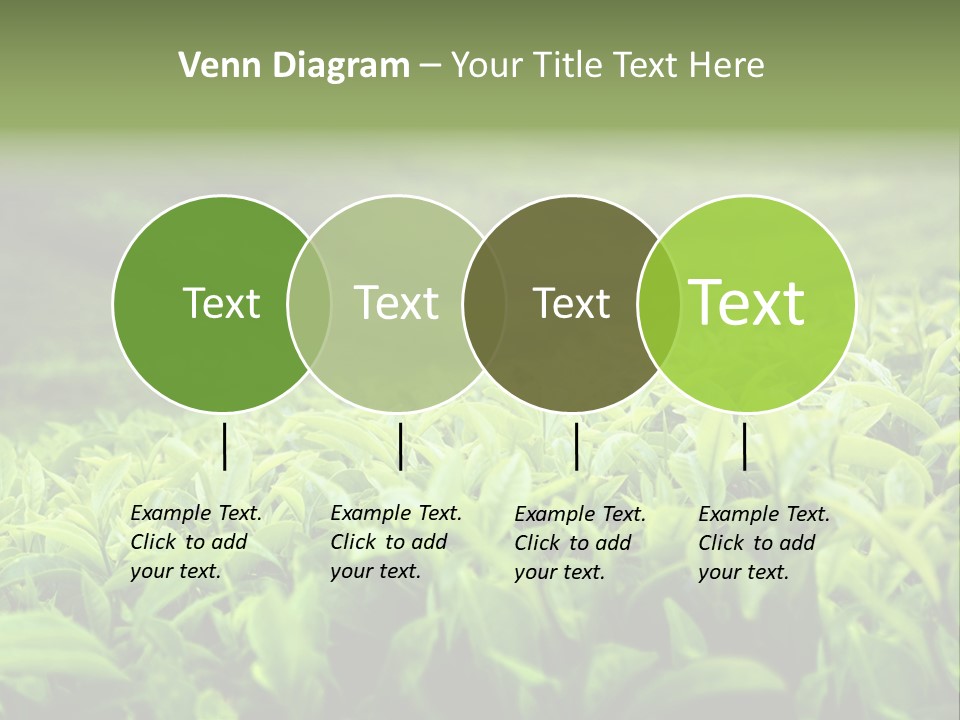 Travel Tropical Hill PowerPoint Template