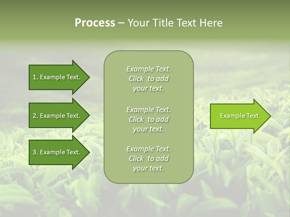 Travel Tropical Hill PowerPoint Template