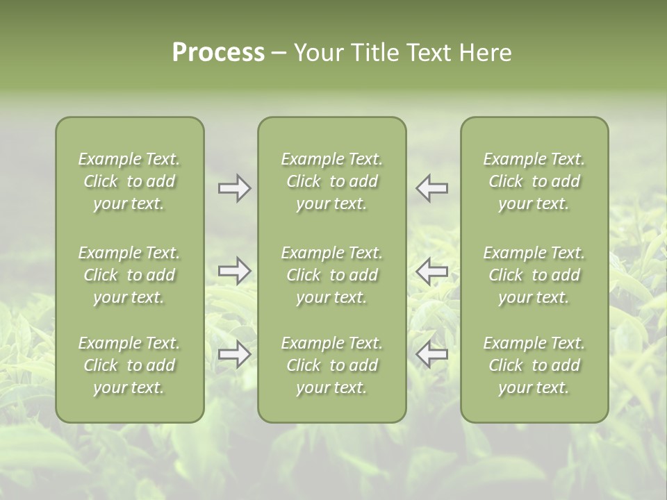 Travel Tropical Hill PowerPoint Template