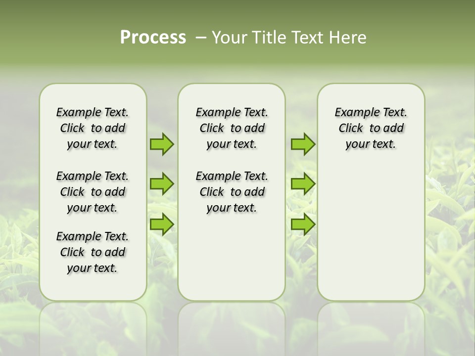 Travel Tropical Hill PowerPoint Template