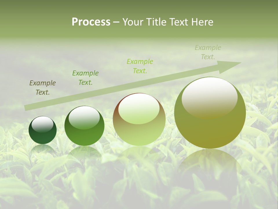 Travel Tropical Hill PowerPoint Template