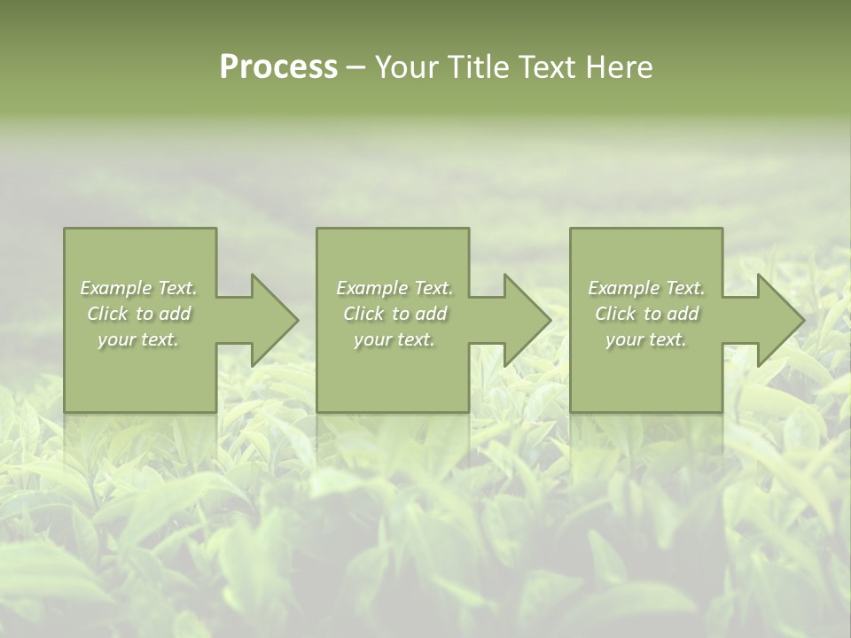 Travel Tropical Hill PowerPoint Template