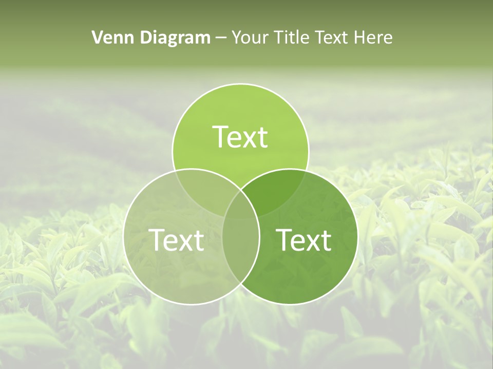 Travel Tropical Hill PowerPoint Template