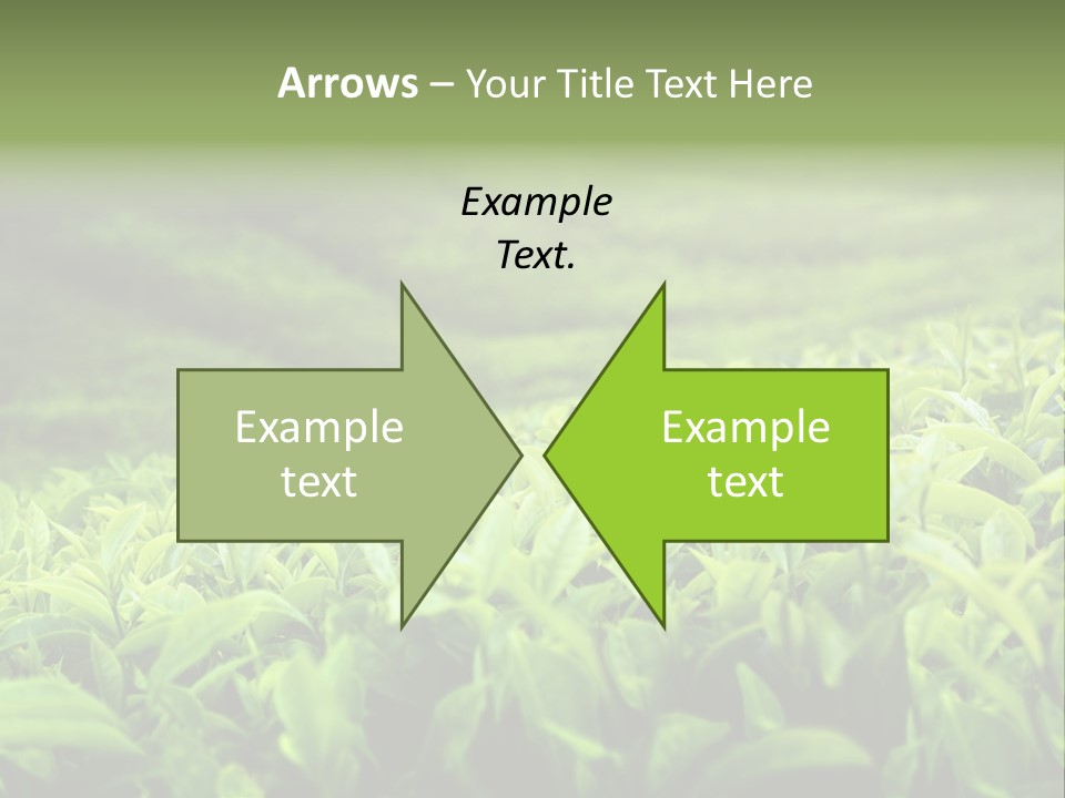 Travel Tropical Hill PowerPoint Template