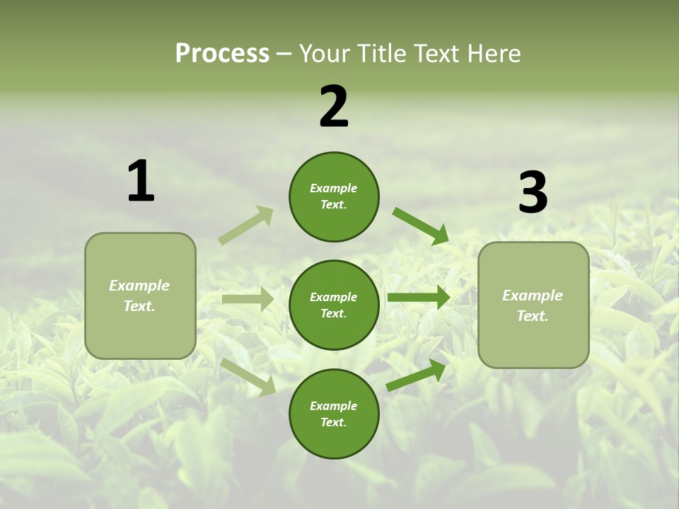 Travel Tropical Hill PowerPoint Template