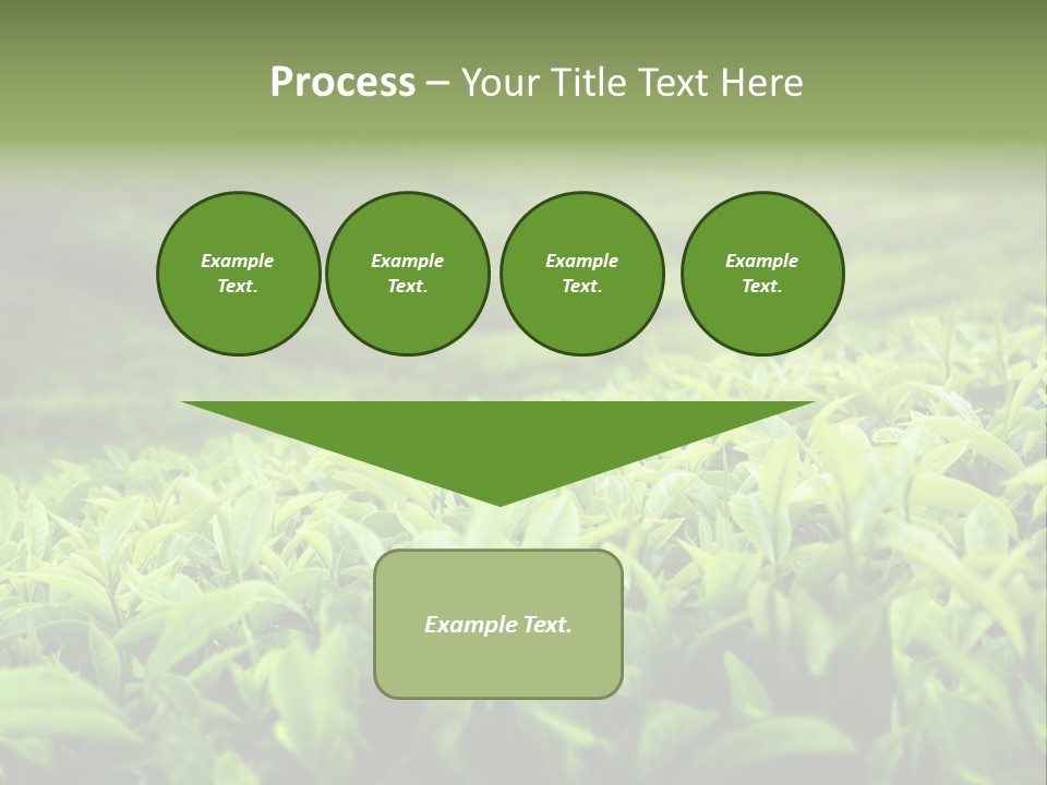 Travel Tropical Hill PowerPoint Template