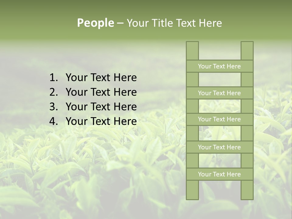 Travel Tropical Hill PowerPoint Template