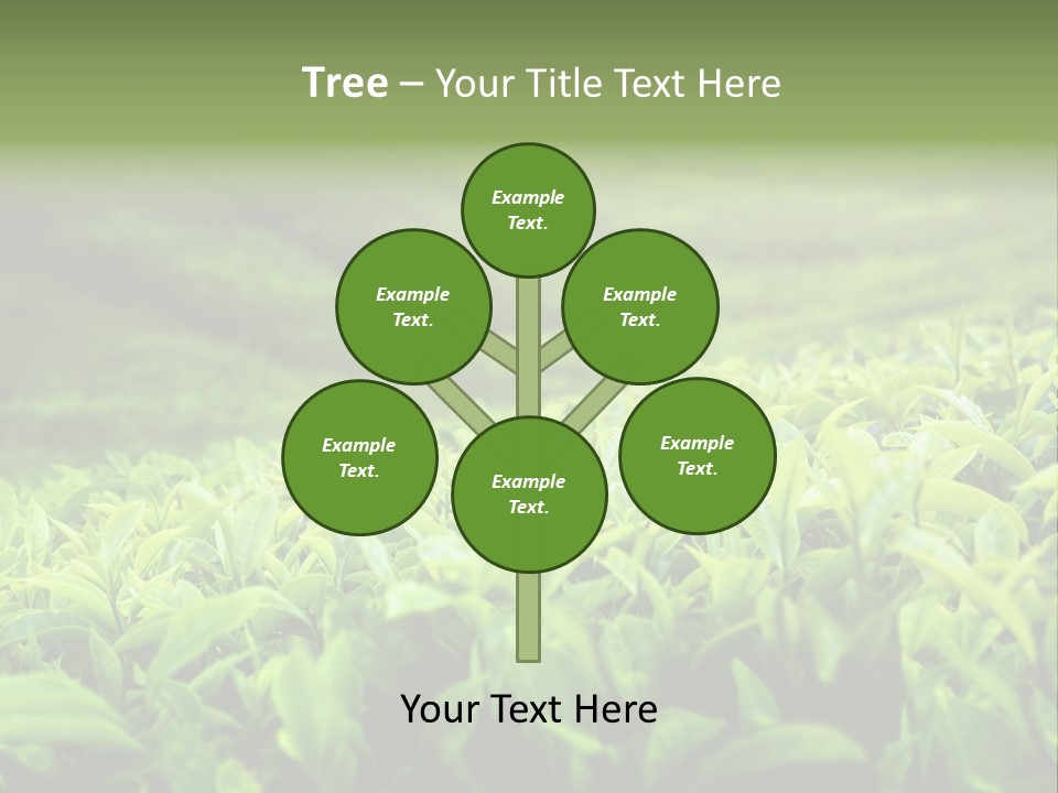 Travel Tropical Hill PowerPoint Template