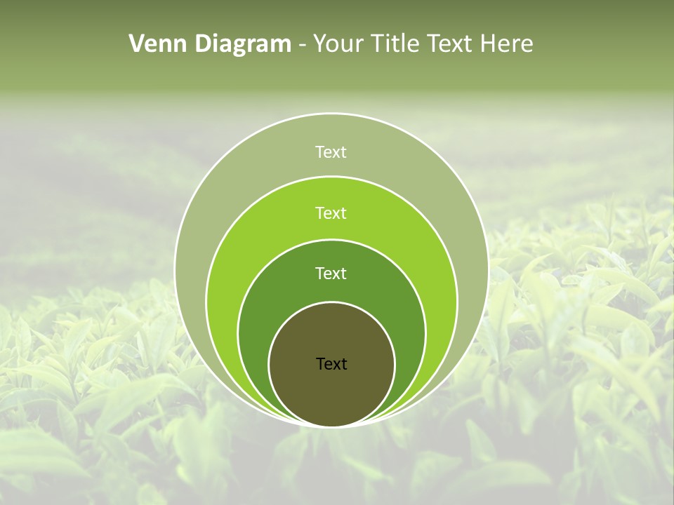 Travel Tropical Hill PowerPoint Template