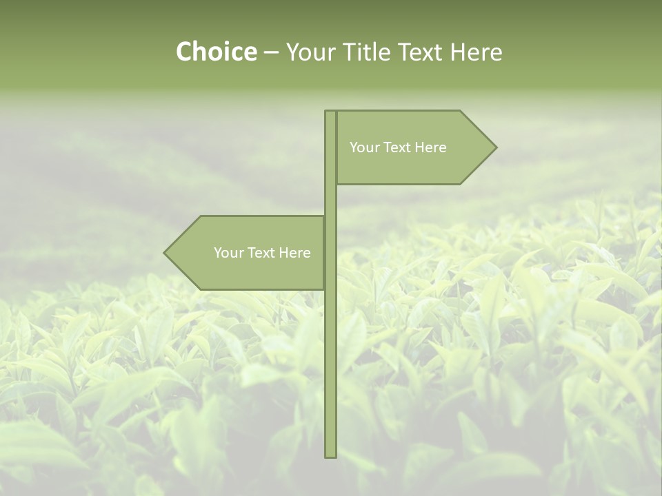 Travel Tropical Hill PowerPoint Template