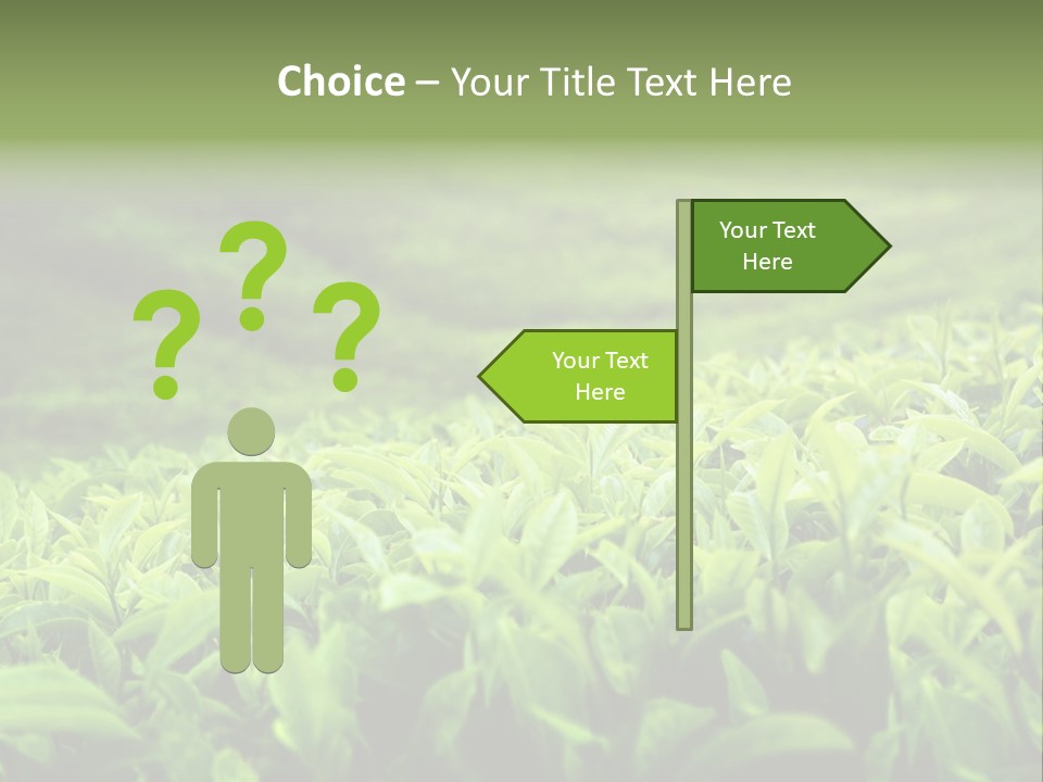 Travel Tropical Hill PowerPoint Template