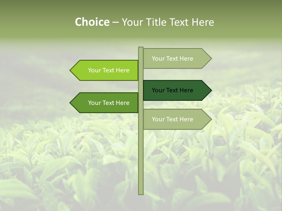 Travel Tropical Hill PowerPoint Template