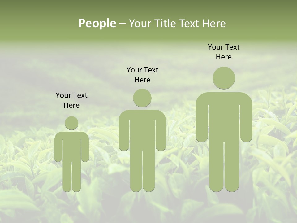 Travel Tropical Hill PowerPoint Template