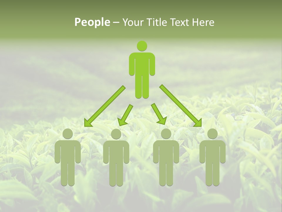 Travel Tropical Hill PowerPoint Template