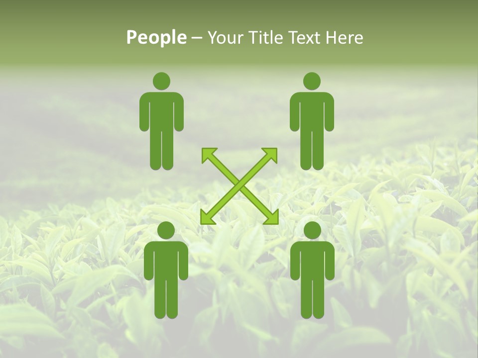 Travel Tropical Hill PowerPoint Template