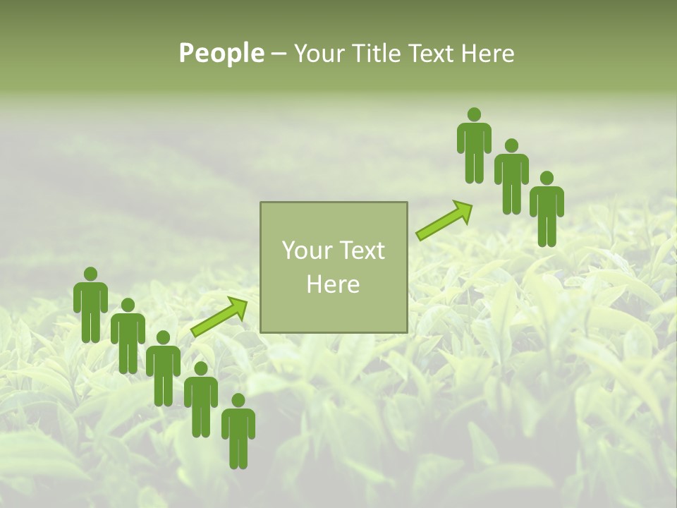 Travel Tropical Hill PowerPoint Template