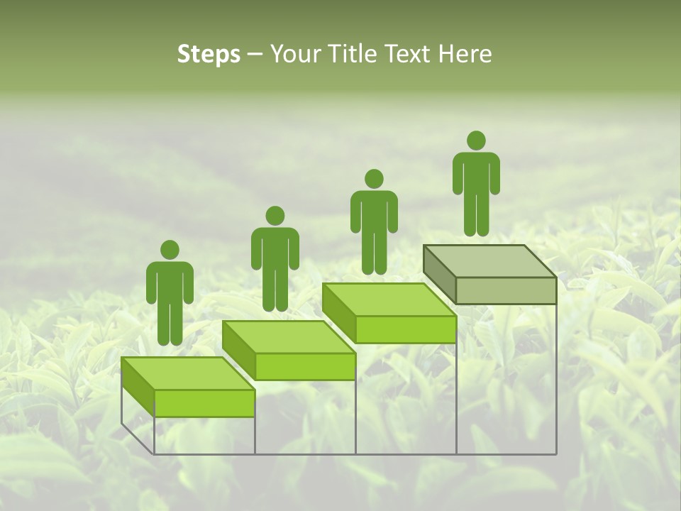 Travel Tropical Hill PowerPoint Template