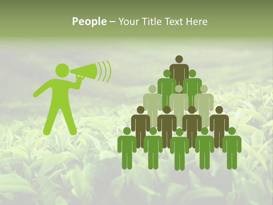 Travel Tropical Hill PowerPoint Template