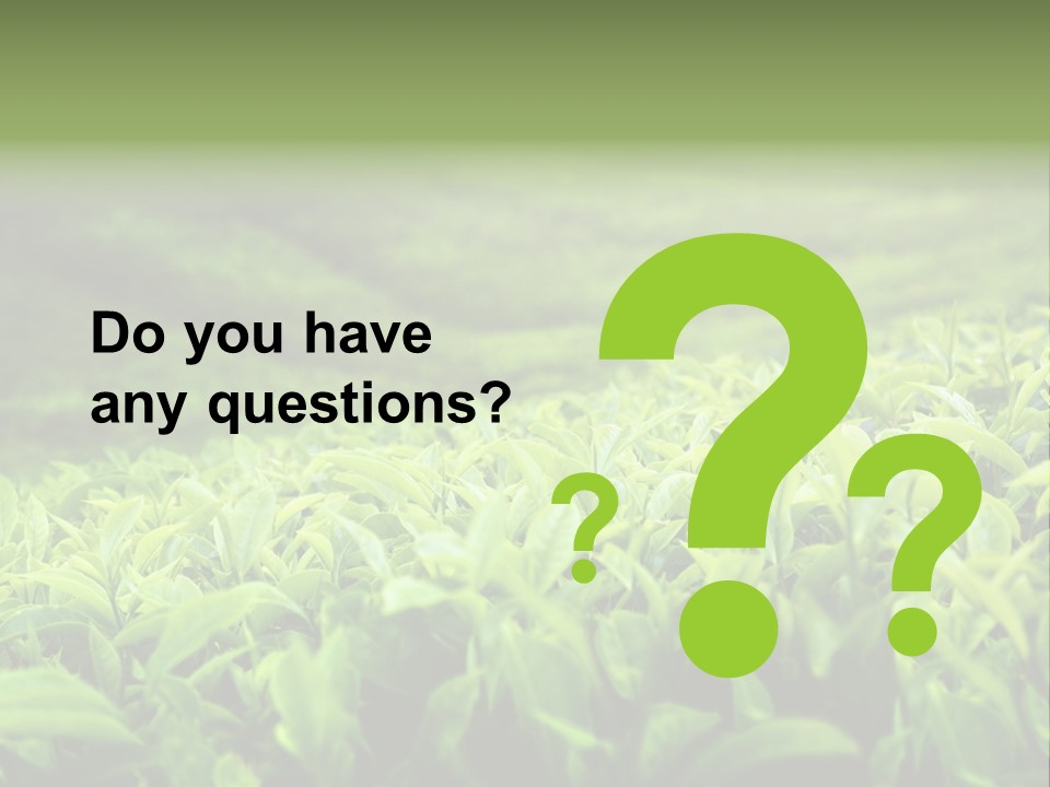 Travel Tropical Hill PowerPoint Template