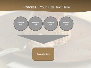 Sorbet Italian Dessert PowerPoint Template
