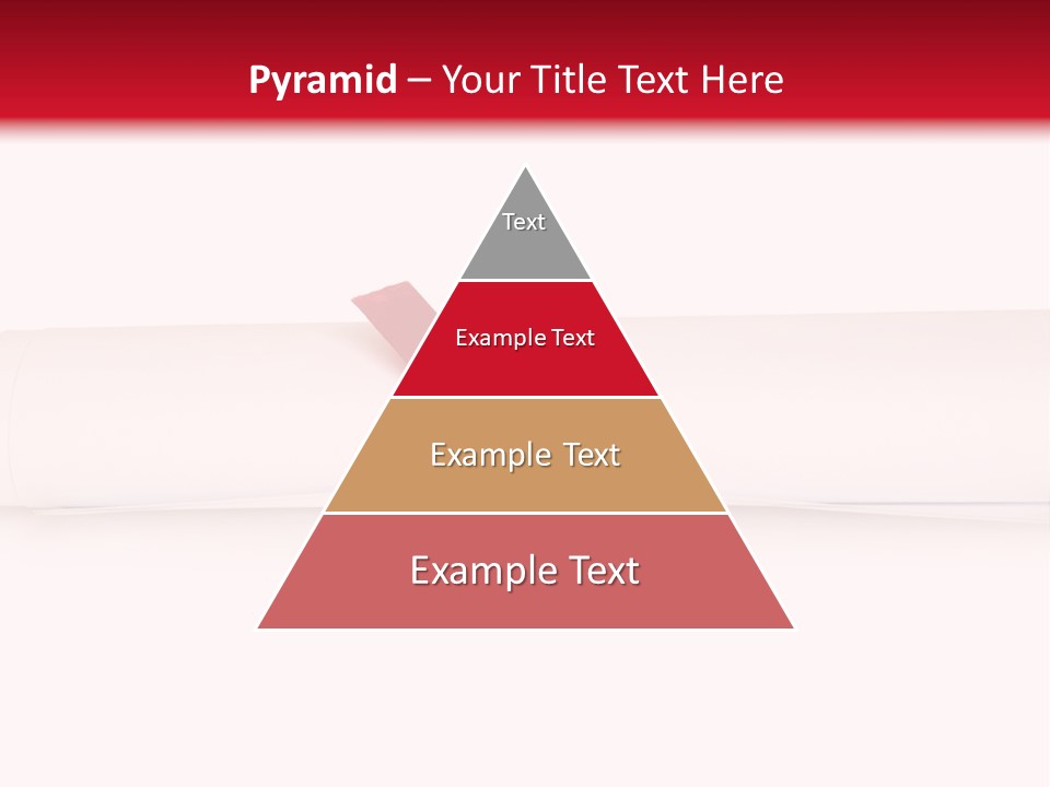 Information Bachelor Postgraduate PowerPoint Template