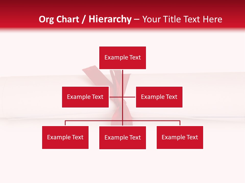 Information Bachelor Postgraduate PowerPoint Template