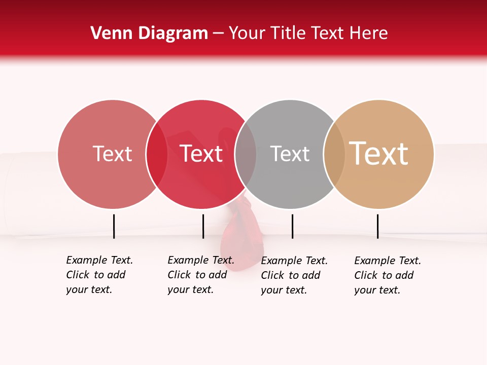 Information Bachelor Postgraduate PowerPoint Template