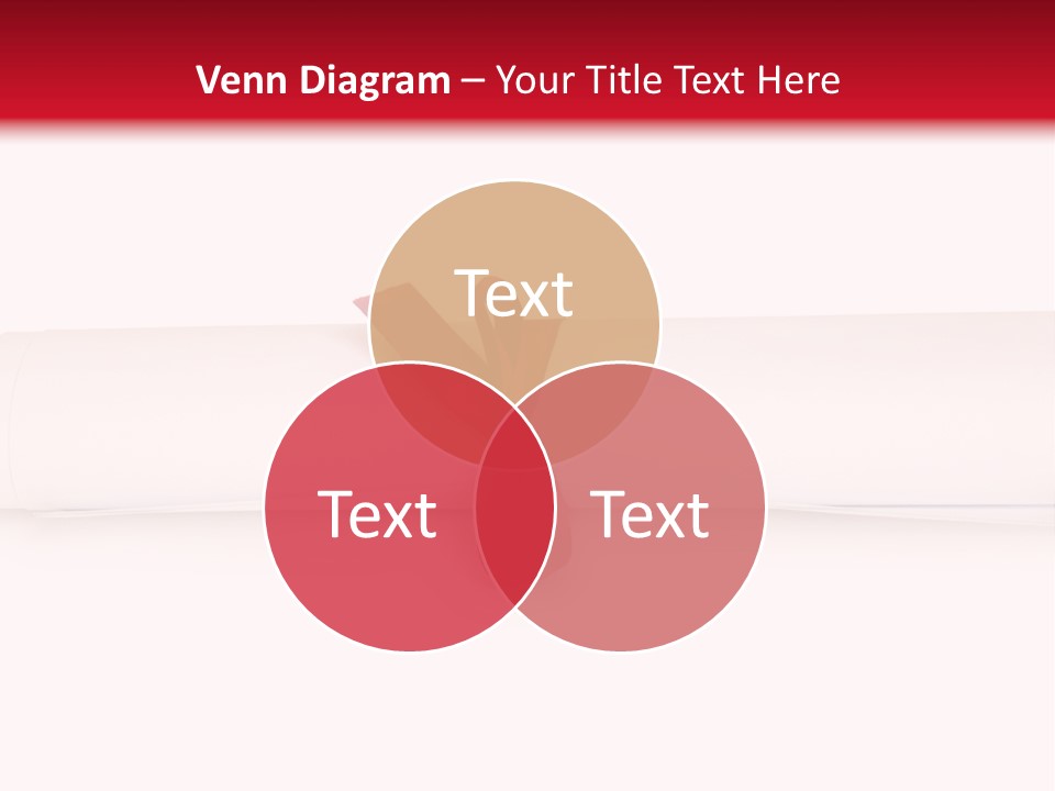 Information Bachelor Postgraduate PowerPoint Template