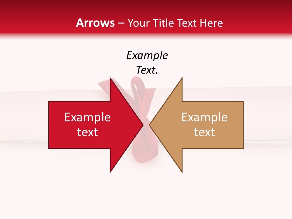 Information Bachelor Postgraduate PowerPoint Template