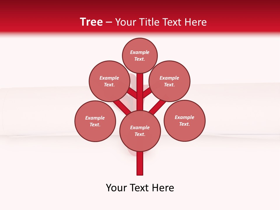 Information Bachelor Postgraduate PowerPoint Template