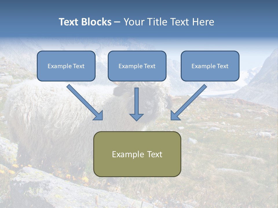Aries Europe Bell PowerPoint Template