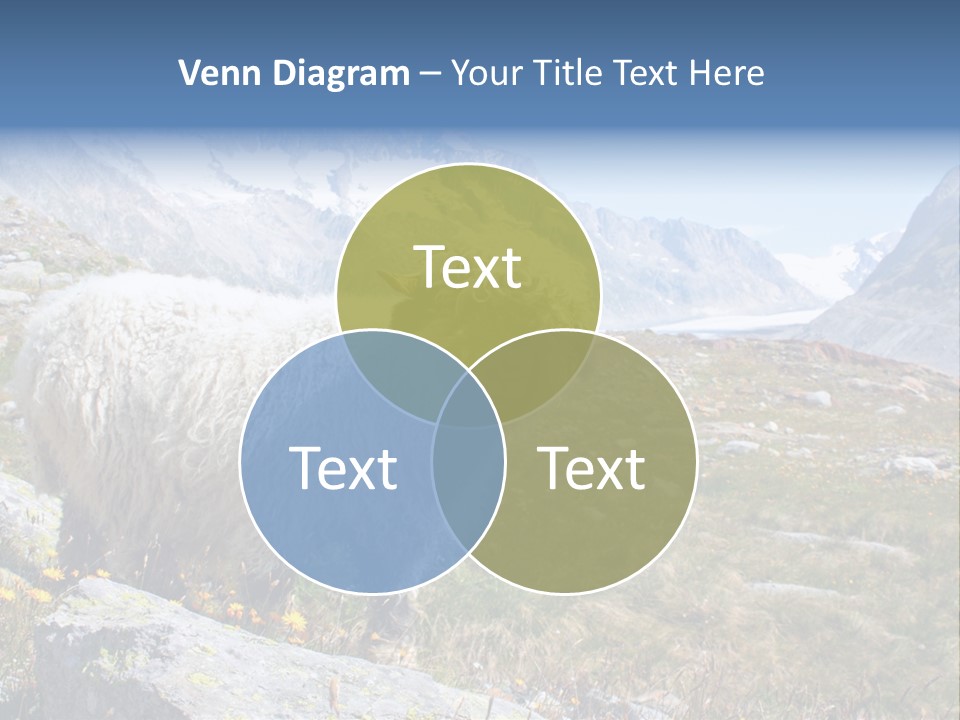 Aries Europe Bell PowerPoint Template