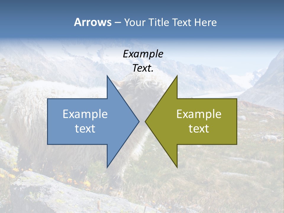 Aries Europe Bell PowerPoint Template