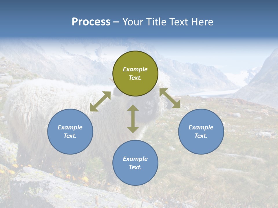 Aries Europe Bell PowerPoint Template