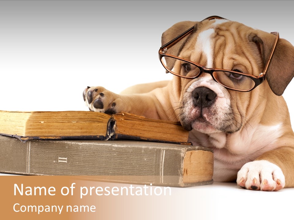 Cute Student Concentrated PowerPoint Template